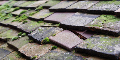 Bridgnorth roof repair costs